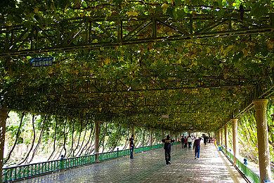 Steam将让开发者更好地定制他们的游戏产品页面